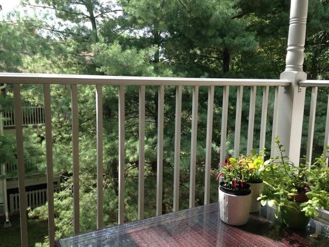 Building Photo - 3112 Wallaby Trce