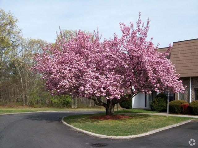 Setauket Knolls Garden Apartments