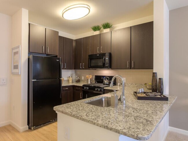 Photo - 1 bedroom in Canton MA 02368 Apartment