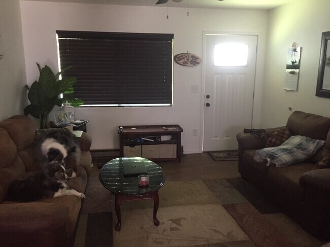 Foto del edificio - 134 N Willow St Apt 3