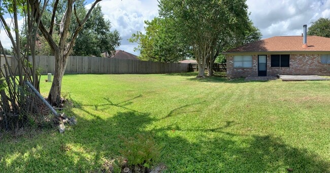 Backyard - 1505 Packsaddle Ln