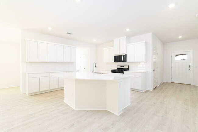 Building Photo - BRAND NEW CONSTRUCTION (4BR/2BA) - Now Leasing for Immediate Move-in