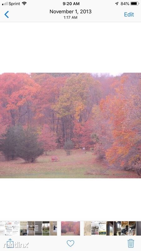 Foto del edificio - 834 Mapledale Rd