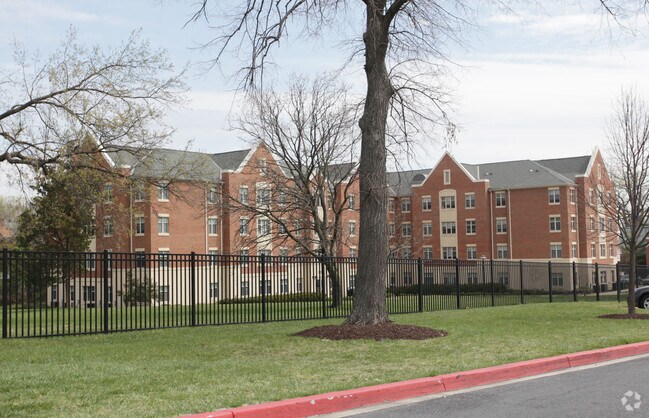 morgan view apartments baltimore md apartments com