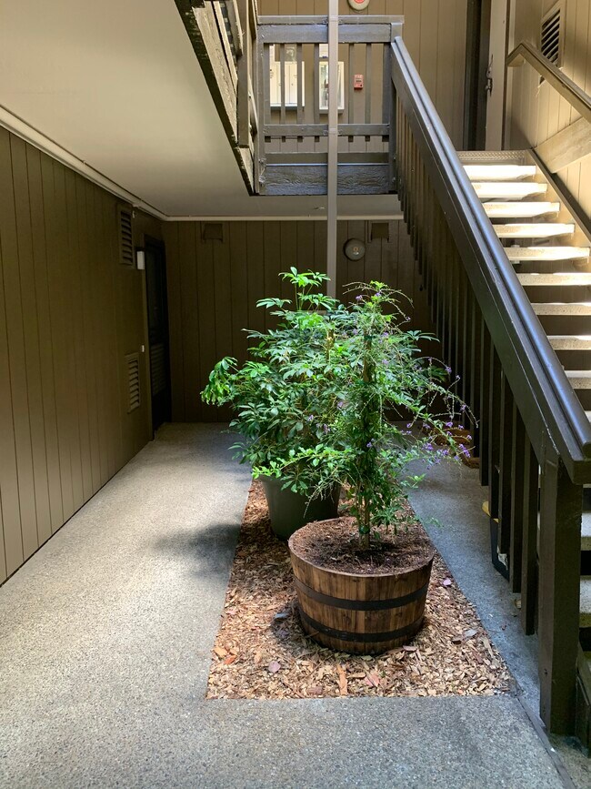 Building Photo - 3299 La Mesa Dr