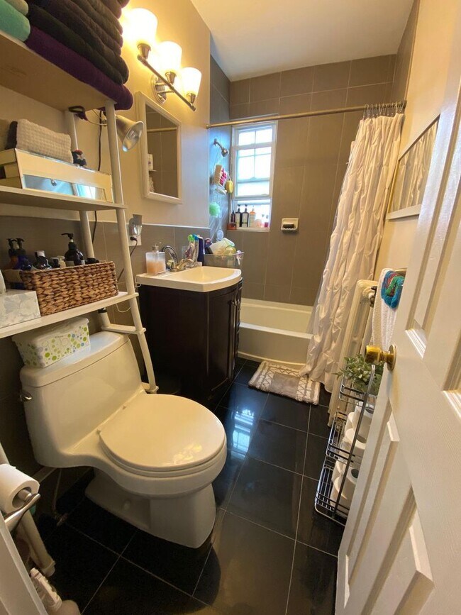 Building Photo - Beautiful Brighton 1 bed 1 bath available 9/1