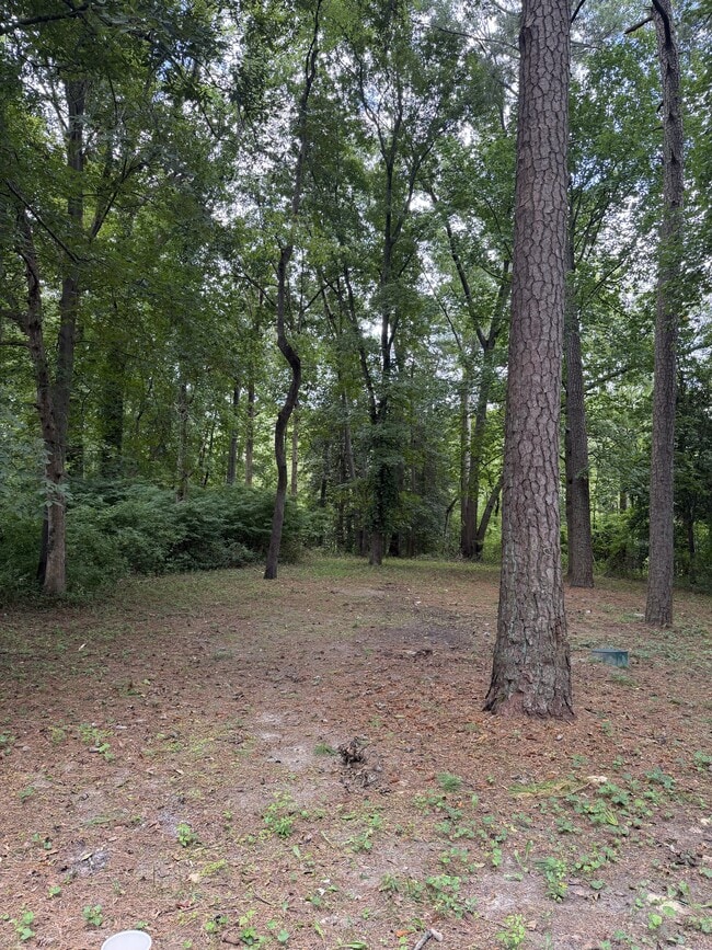 Building Photo - 1827 Pine Way
