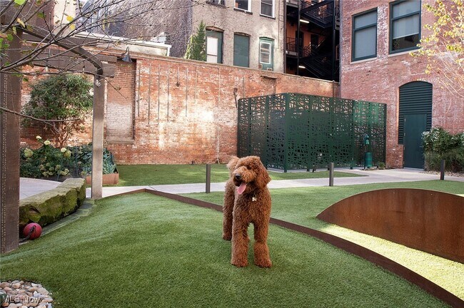 Foto del edificio - 725 Johnson Ct