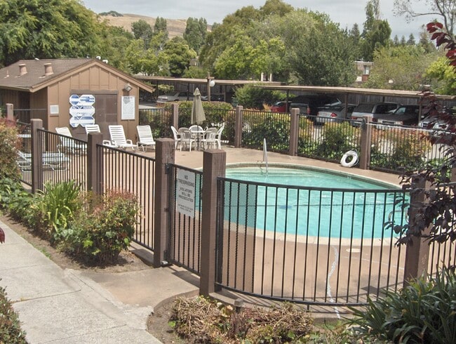 Manon Springs Pool - 27320 Manon Ave