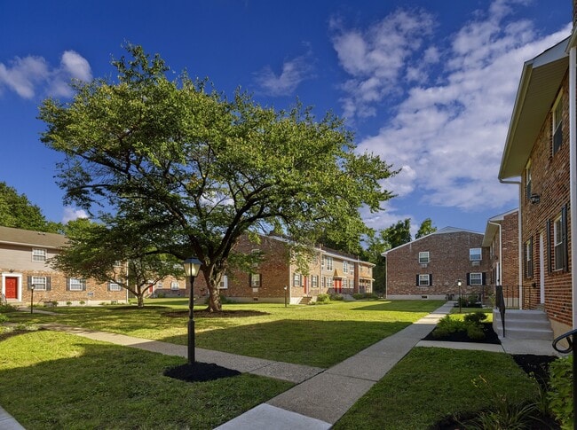 Green Space - The Preserve at Darby Creek