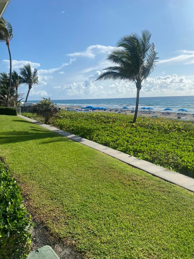 Foto del edificio - 100 Royal Palm Way