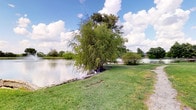 Located in San Antonio, Texas, this single-story commercial space artfully blends industrial architecture with refined, eclectic interior design. The exterior grounds feature a serene pond with a decorative fountain, framed by lush greenery and a graceful weeping willow tree, offering a picturesque natural backdrop.

Inside, the open-plan layout is defined by soaring exposed concrete ceilings with visible ductwork and track lighting, lending a modern industrial character throughout. Rich dark hardwood flooring anchors the interiors and complements the dramatic black-trimmed doorways and glass entry doors that invite abundant natural light.

The reception area serves as a focal point, featuring a curved, statement front desk topped with a glossy dark surface and illuminated by striking copper pendant chandeliers. A curated lounge area runs along a full wall of floor-to-ceiling windows draped with sheer white curtains, offering panoramic outdoor views. This seating area is furnished with an eclectic mix of velvet and leather chairs, ornate sofas, and layered Persian-style rugs, creating a warm and inviting atmosphere. Additional rooms visible from the main floor suggest private office or meeting spaces. The overall ambiance balances urban sophistication with comfortable, curated elegance.