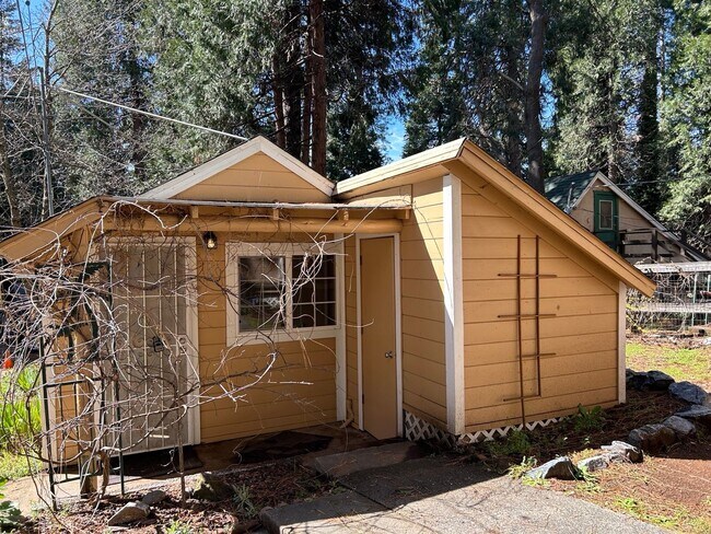 Building Photo - Cozy Studio Coming Soon!