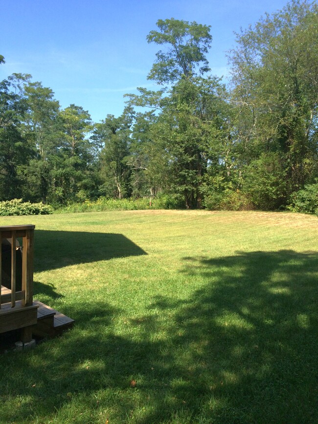 Back yard (not shared) - 9 Mill St