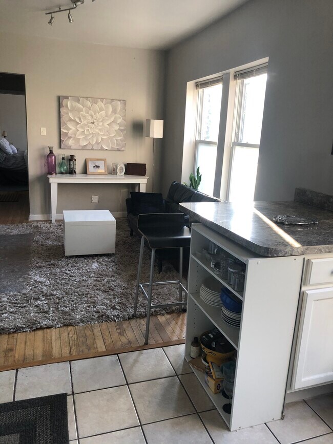 1626 W Farwell Ave Unit 2f, Chicago, IL 60626 Condo for Rent in