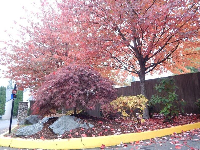 Foto del edificio - 11813 Ambaum Blvd SW