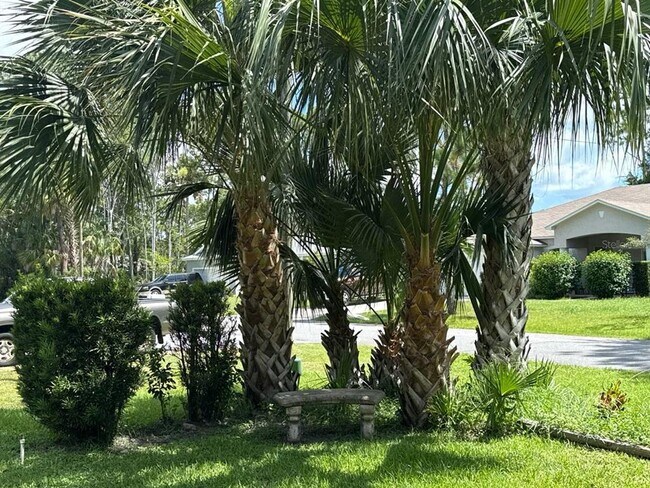 Foto del edificio - 107 Palmwood Dr