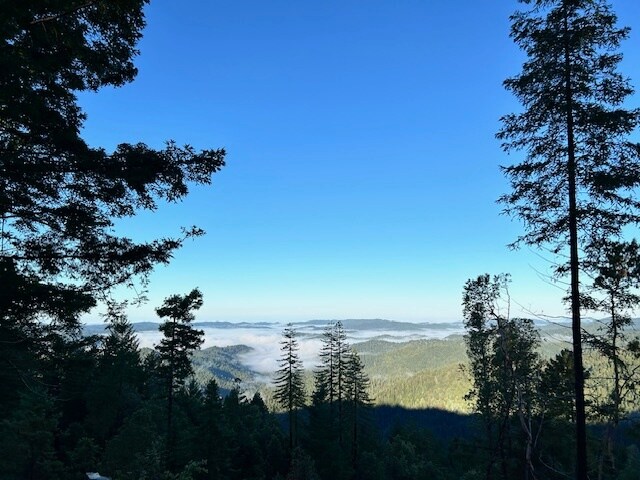 Morning View from the Deck - 24530 Ridge Rd