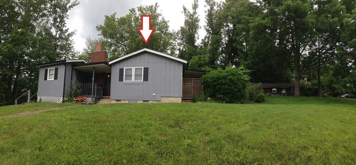 Foto principal - 155b Clement St