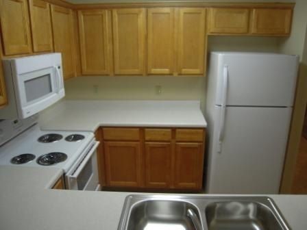 Building Photo - 1411 Rocky Ln