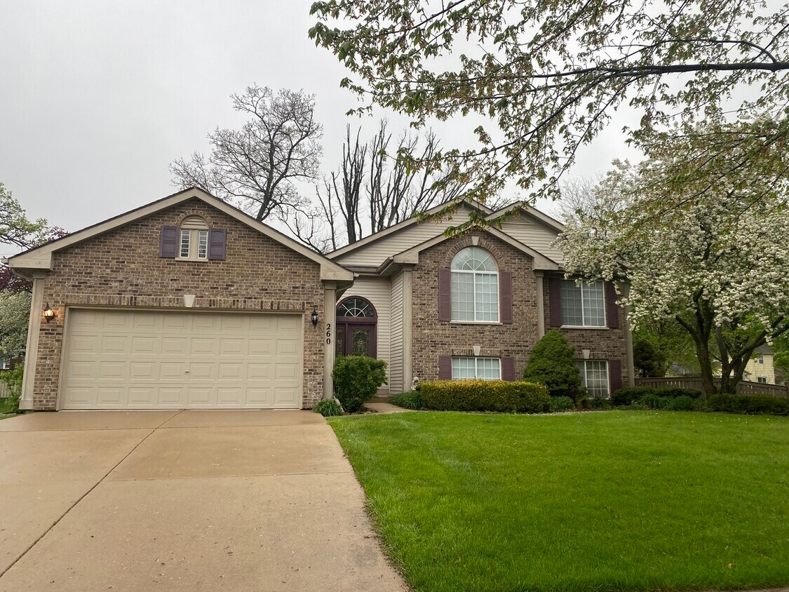 Primary Photo - 260 Shipland Dr