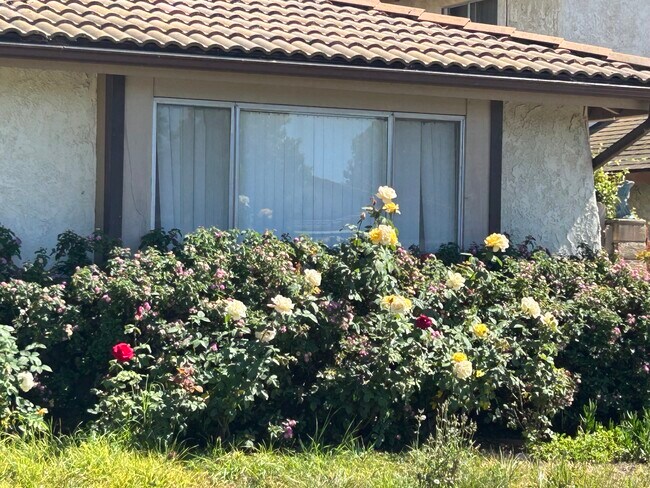 Foto del edificio - 876 Palmer Ave