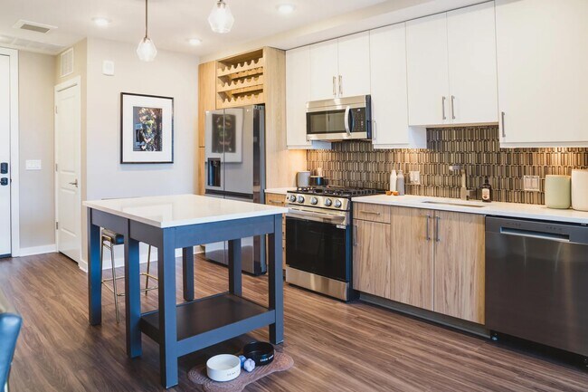Las cocinas gourmet cuentan con salpicaderos de azulejos llamativos y fregaderos individuales de gran tamaño. - Modera Parkside