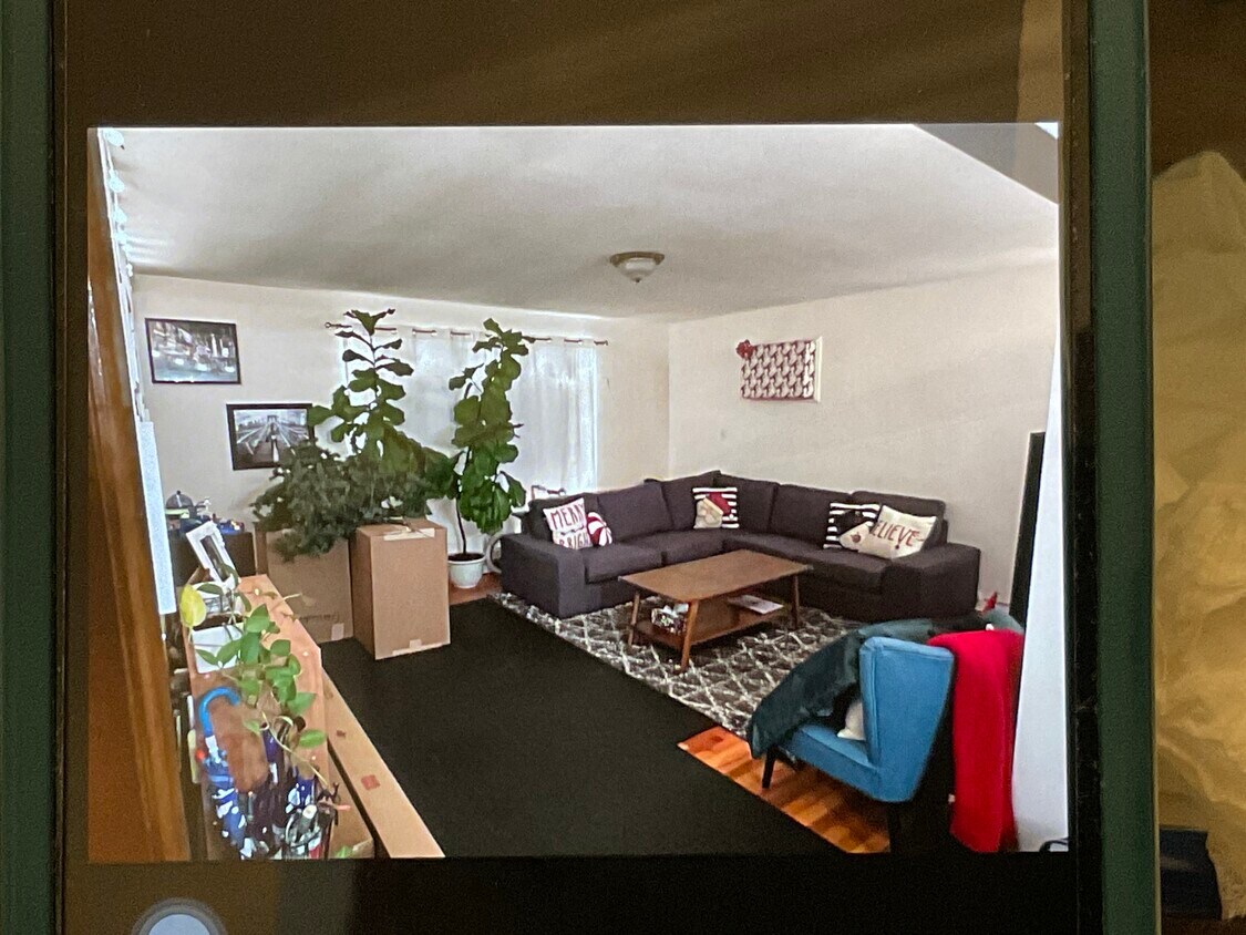 Living Room - 323 Gorge Rd