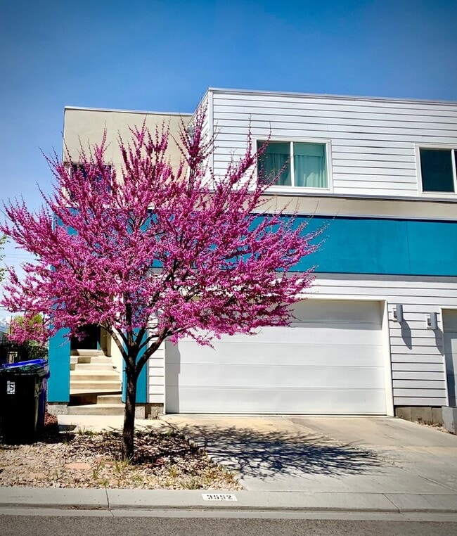 Building Photo - 3552 Terra Sol Dr