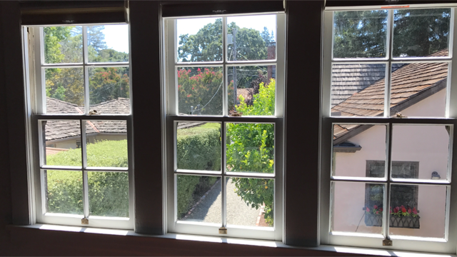 Nice upper story views of surrounding trees. - 134 Somerset St