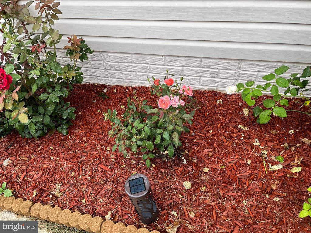 113 Hotchkiss St, Fredericksburg, VA 22408 House Rental in