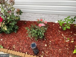 Building Photo - 113 Hotchkiss St