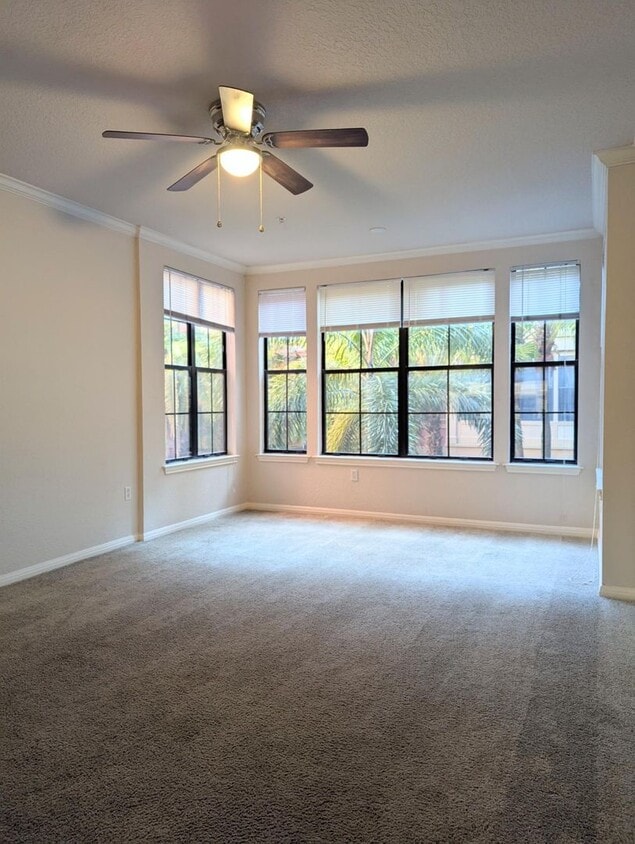 Primary Photo - 1x1 A2 Spacious Sunroom: 642 Square feet f...