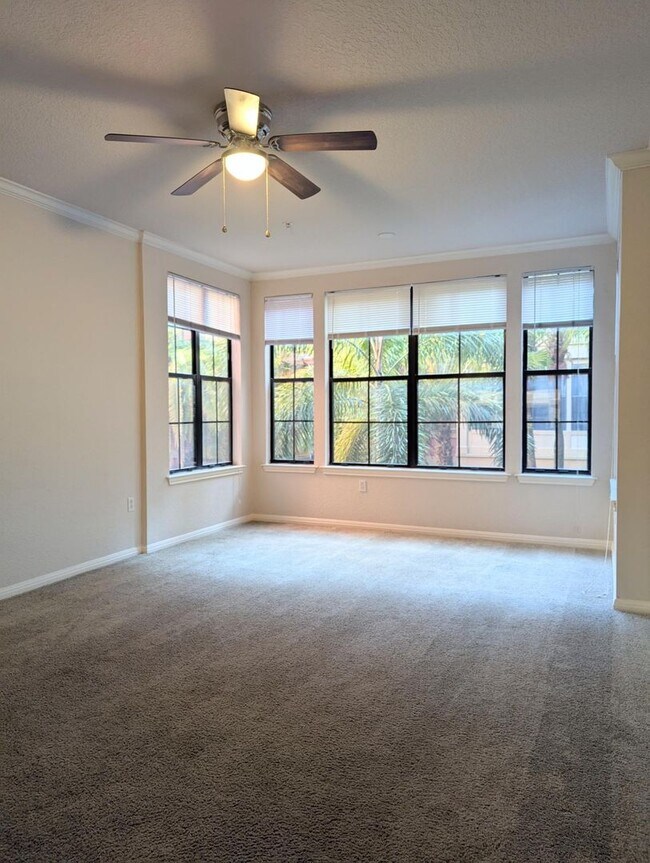 1x1 A2 Spacious Sunroom: 642 Square feet f... - 1x1 A2 Spacious Sunroom: 642 Square feet f... Apartment