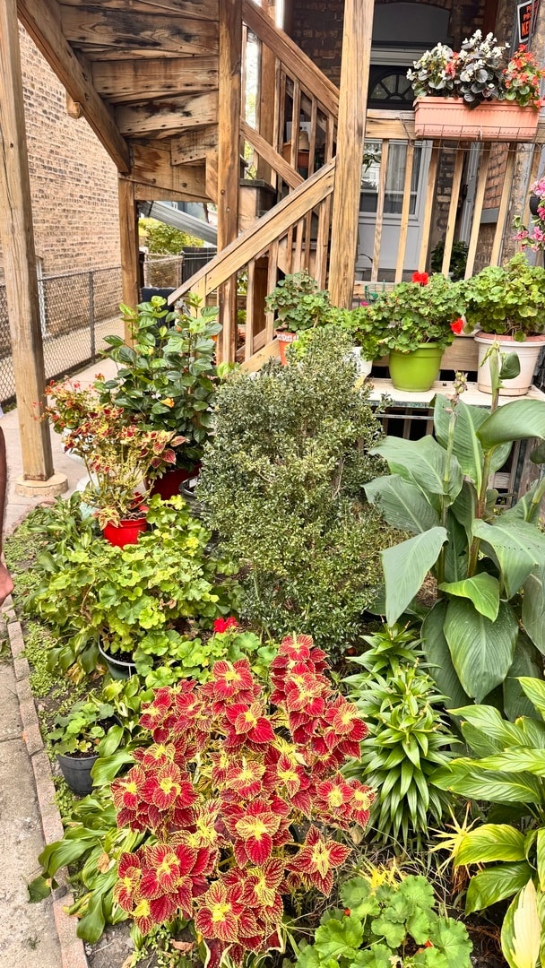 Foto del edificio - 4441 N Central Ave