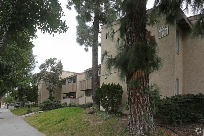 Vista al edificio - ELEVATE APARTMENT HOMES