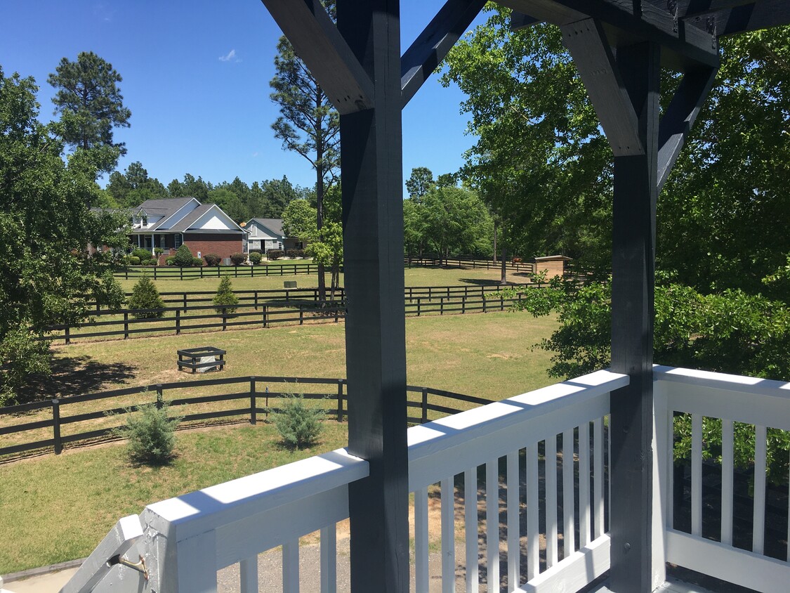 Pasture views from deck - 203 Three Runs Plantation Dr