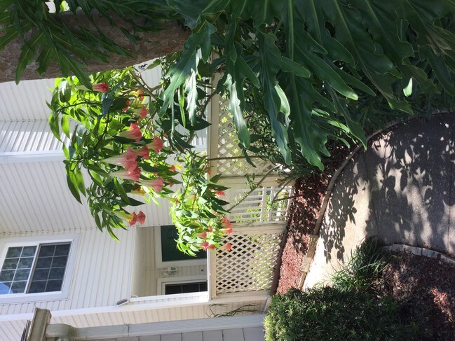 Foto del edificio - 207 Spindrift Ln
