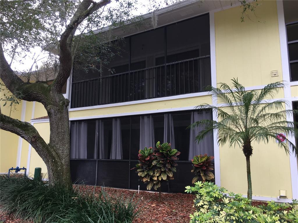 3295 Fox Chase Cir Unit 205, Palm Harbor, FL 34683 Condo for Rent in