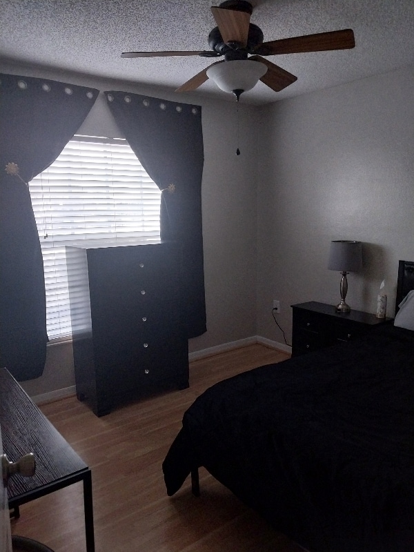 Building Photo - 2 Strawflower Ct