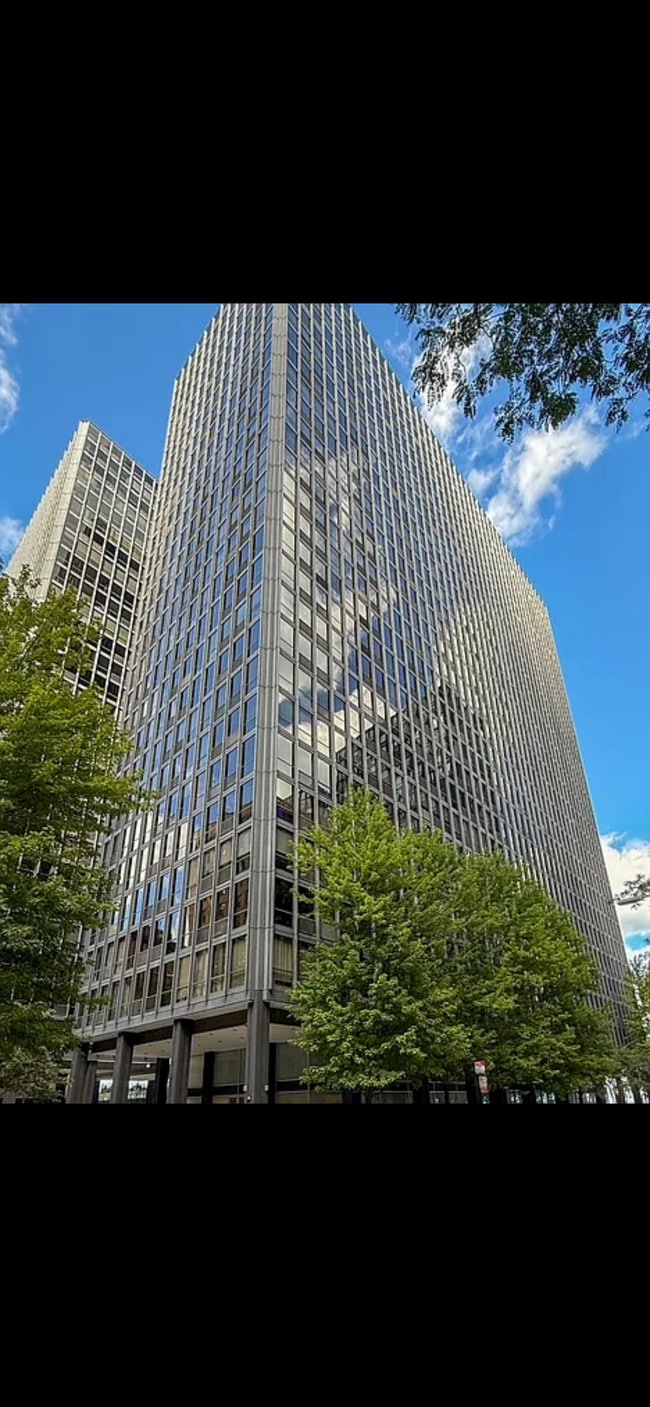 Building Photo - 900 N Lake Shore Dr