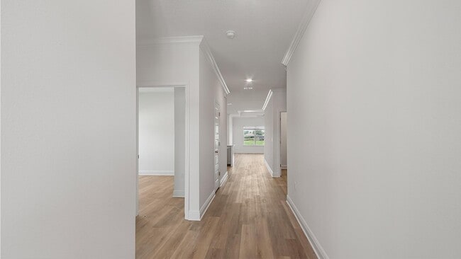 Building Photo - 203-203 Holley Grv Ln