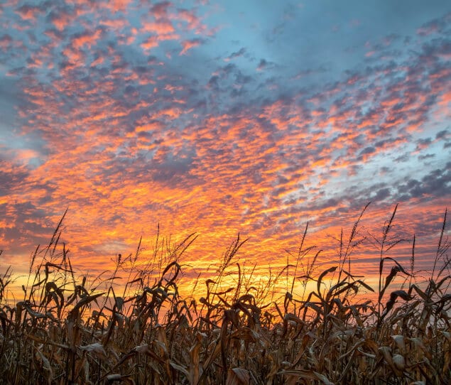 Is Mooresville, IN a Good Place To Live?