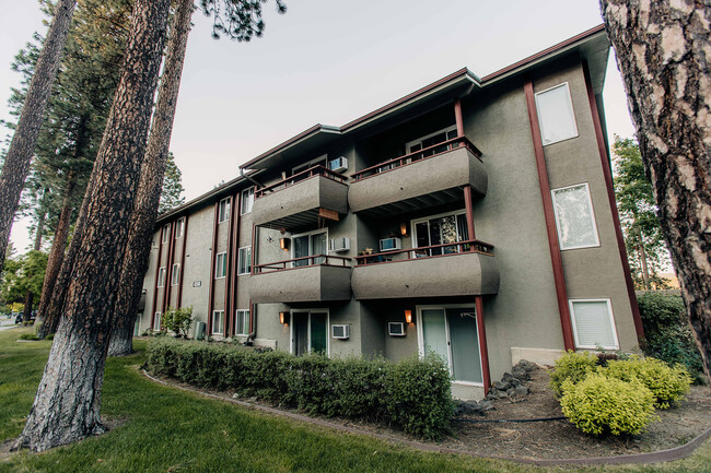 Foto del edificio - Treetop Apartments