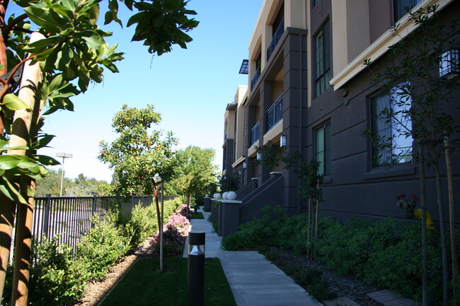 Foto del edificio - 19503 Stevens Creek Blvd