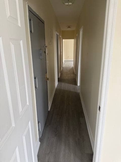 Building Photo - 42 Purser Pl