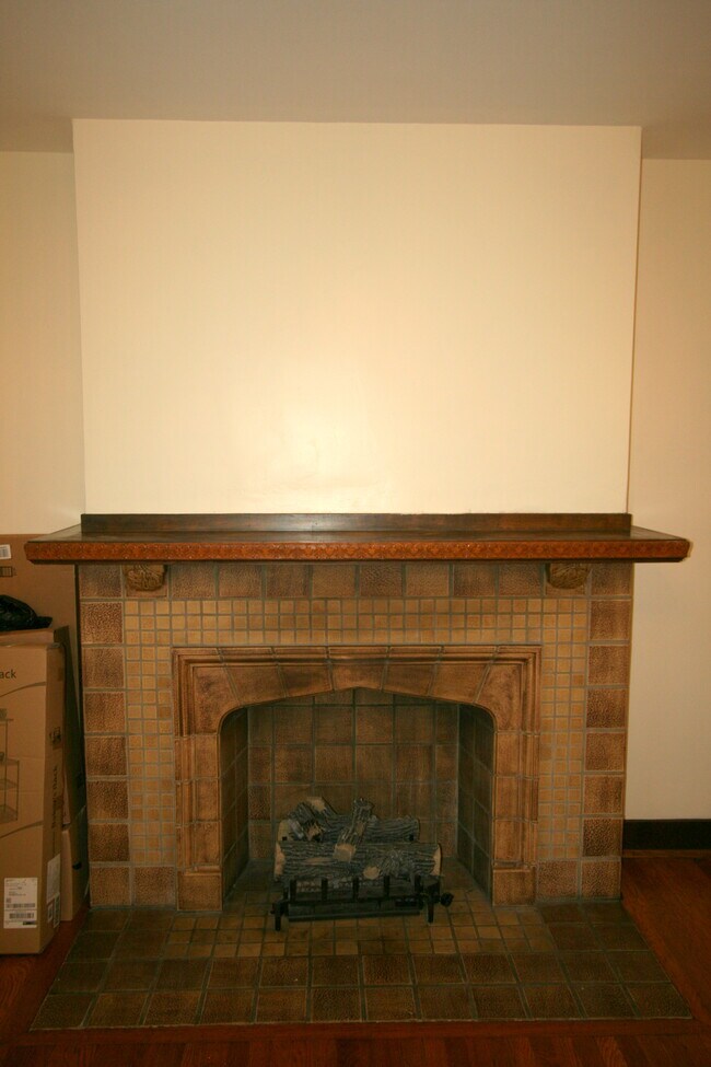 Chimenea y leños de gas en el salón. - 328 S Aiken Ave