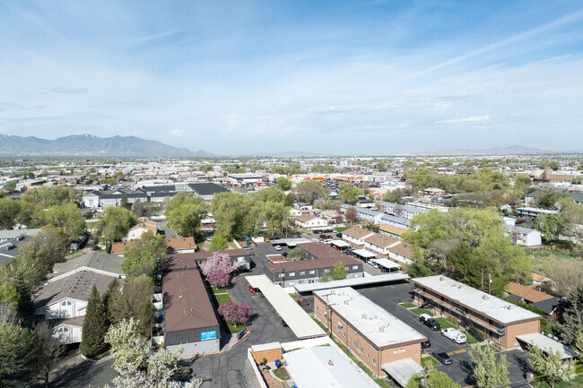 Aerial - Azlee