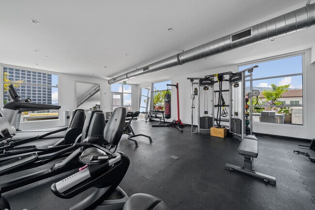 gimnasio - Maia Avira at Glendale