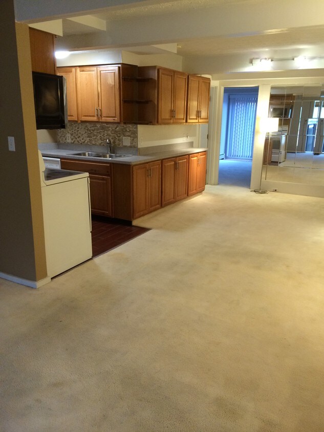 Newly renovated - 1609 Treetop Trail